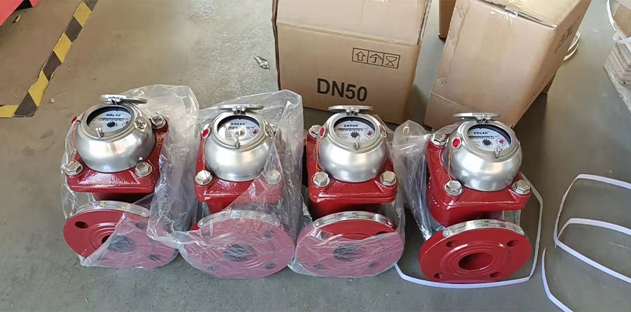 These are Flanged Water Meters