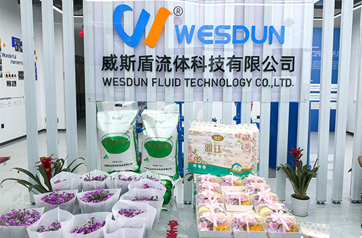 WESDUN Celebrates 2026 International Women’s Day
