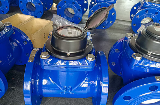 Successful 2025 Water Meter Delivery: WESDUN & Zambia Partnership