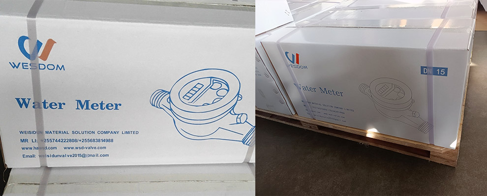 LXSG water meter