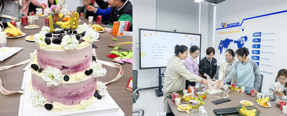 WESDUN Employee Birthday Party