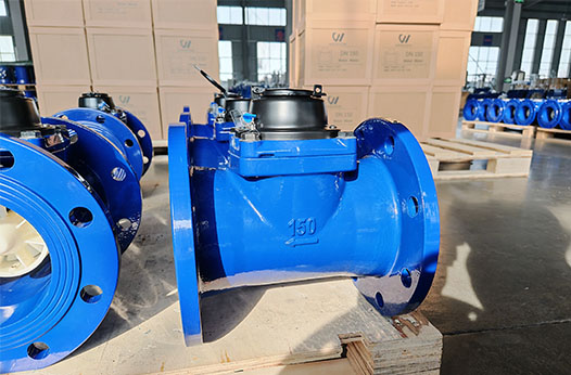 WESDUN Exports LXLC Water Meters to Kenya for Rural Water Supply and Sanitation Project in May 2025