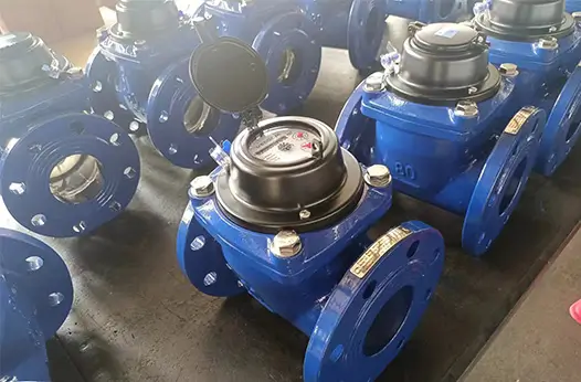WESDUN Water Meters Empower Sustainable Water Supply for Kigoma Water Project, Tanzania